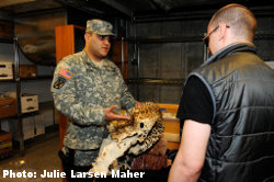 Confiscation of Wildlife items